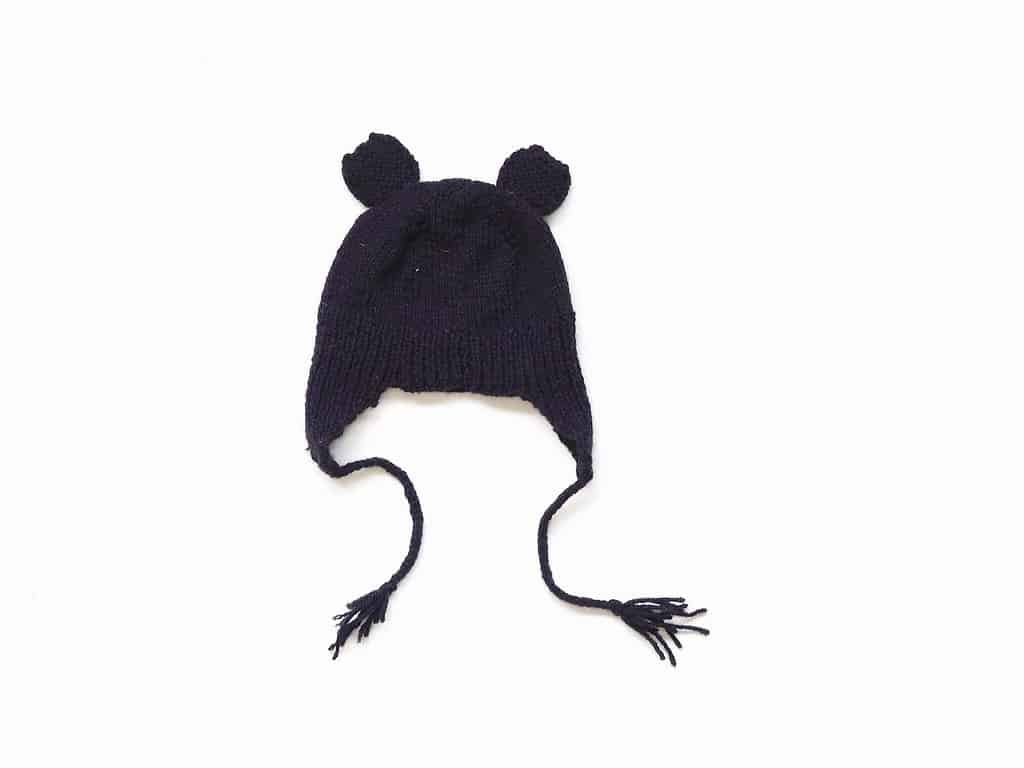 Teddy Bear Hat with Ears