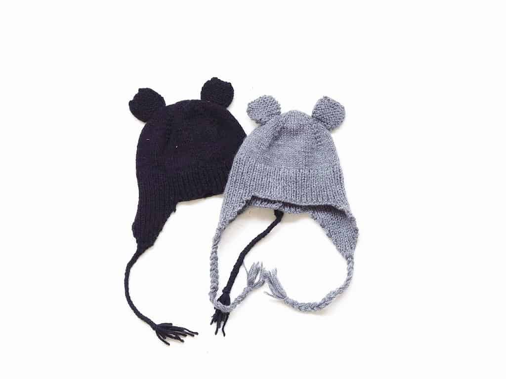 Teddy Bear Hat with Ears