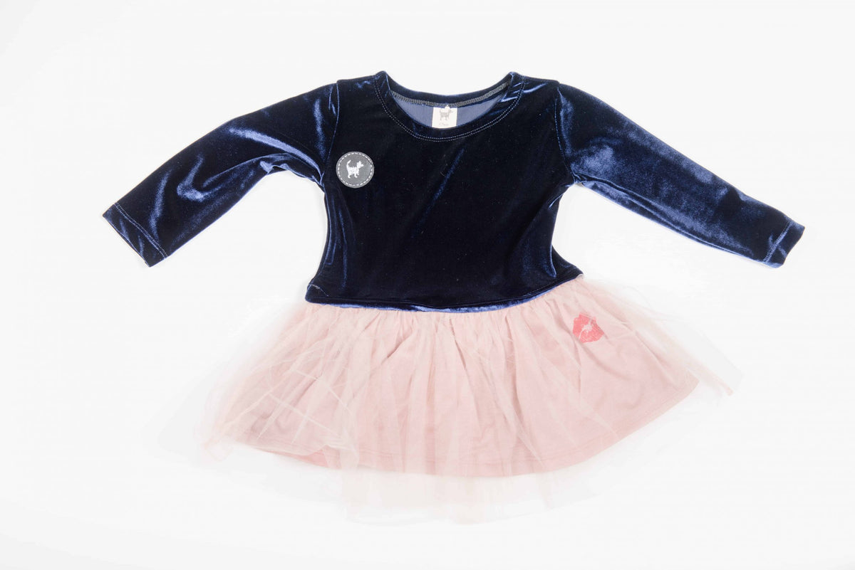 Blue Velvet Pink Ballerina Dress