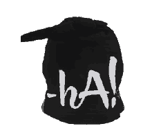 Hoo-Ha Beenie Hat w/ Ears
